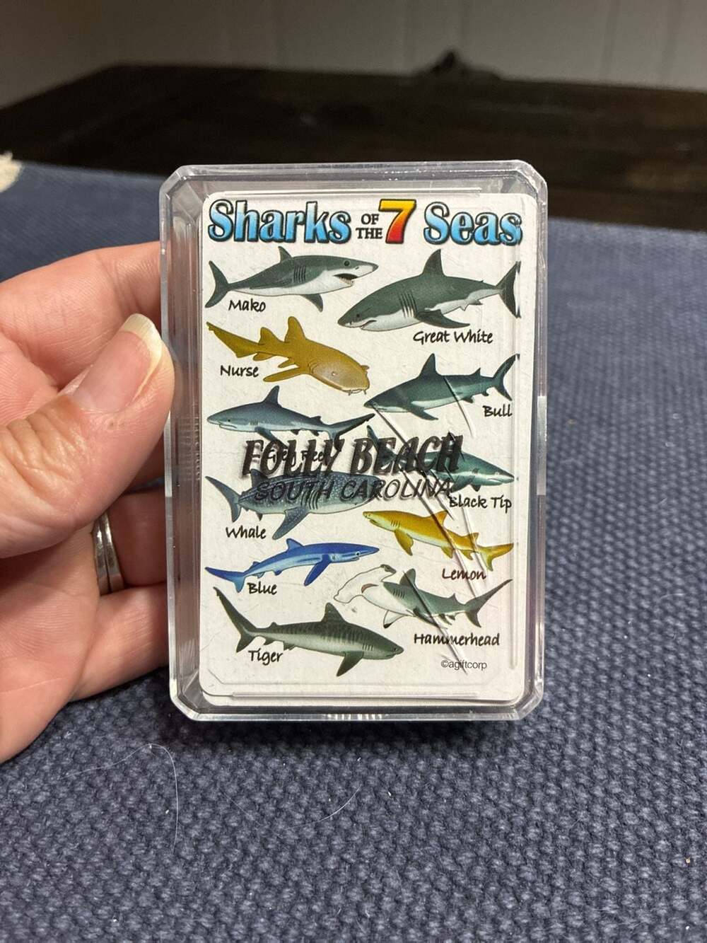 Sharks of the 7 Seas Folly Beach South Carolina Souvenir Playing Cards